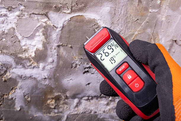 Best Mold Testing  in Salunga, PA